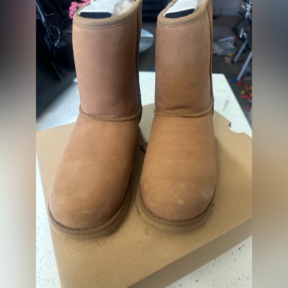 UGG Women's Chestnut Winter Boots